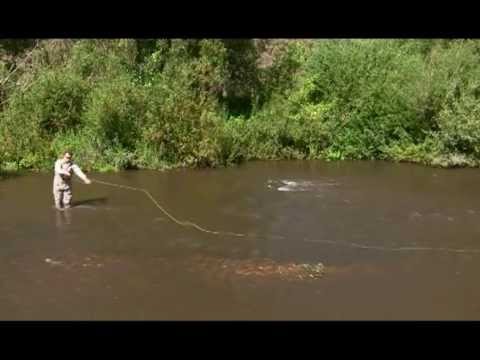 Видео: Нахлыст Стрим ТВ 5