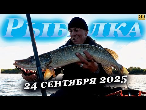 Видео: Осенний КЛЁВ щуки ЭТО НЕ ПРО НАС)))