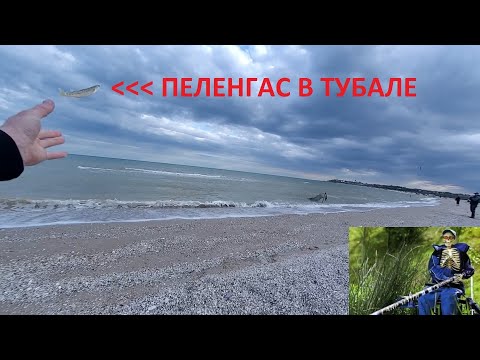 Видео: Пеленгас в ПримПосаде