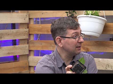 Видео: Вести.Интервью: Владислав Кундасев, агроном