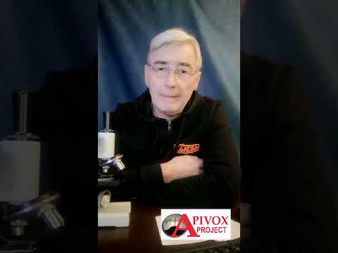 Видео: КОРОТКО О ВАЖНОМ. СОЛНЕЧНЫЙ УЛЕЙ против ТЕРМООБРАБОТКИ