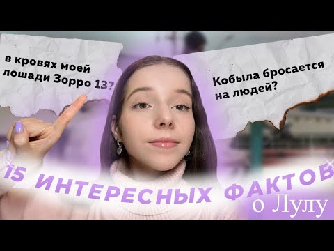 Видео: 15 интересных ФАКТОВ о МОЕЙ ЛОШАДИ 💜