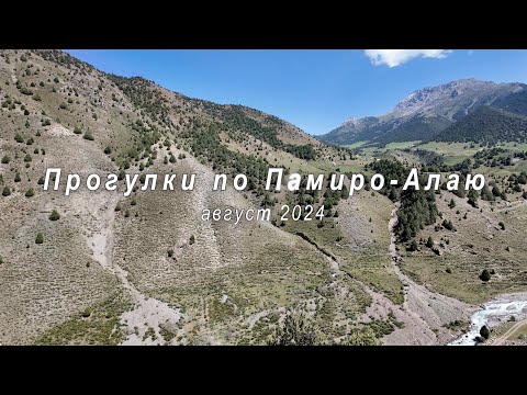 Видео: Прогулка по Памиро-Алаю, Кыргызстан, август 2024 года.