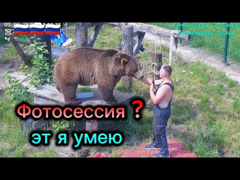 Видео: Мансурка снова на фотосессии/ Mansurka, back at the photo shoot 🐻📸 9.08.25г