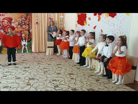 Видео: 5 ноября 2025 г.