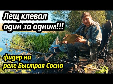 Видео: Лещ клевал один за одним... Рыбалка на реке Быстрая Сосна