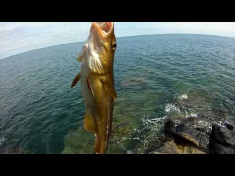 Видео: рыбалка на море с берега на спиннинг в мае 2017