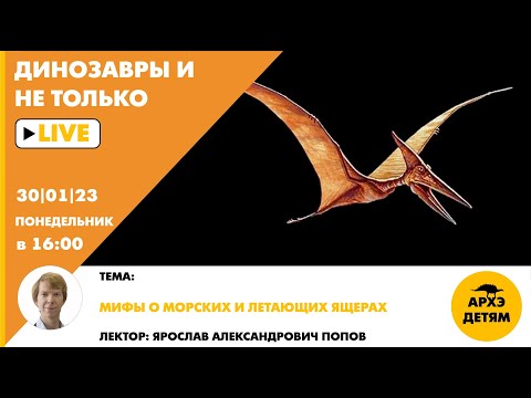 Видео: Занятие "Мифы о морских и летающих ящерах" кружка "Динозавры и не только" с Ярославом Поповым