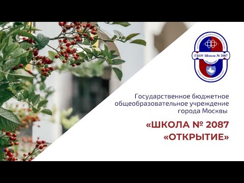Видео: Визитка ГБОУ Школа 2087 "Открытие"
