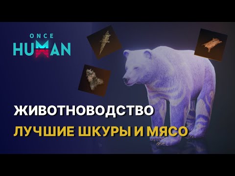 Видео: ГАЙД ПО ЖИВОТНОВОДСТВУ - ЛУЧШИЕ ШКУРЫ И МЯСО В ONCE HUMAN