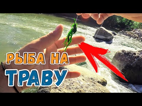 Видео: СЕКРЕТНАЯ ПРИМАНКА НА САЗАНА ! | Рыбалка на реке в Греции.