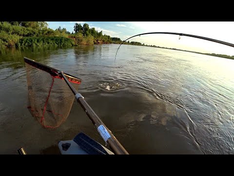 Видео: ВЗЯЛИ ЕЕ НА ЗАКАТЕ!! Джиг на Оби! Рыбалка по высокой воде в лугах и русле! Крупный судак,щука.