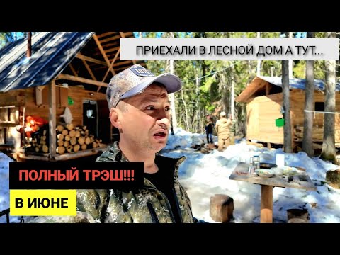 Видео: ЖЕСТЬ, ЧТО ТВОРИТСЯ У НАШЕЙ ТАЁЖНОЙ ИЗБЫ.  С БРАТЬЯМИ В ТАЙГУ НА ДЕЛО! МОЙ ПЕРВЫЙ ГУСЬ.