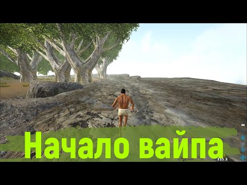 Видео: ПЕРВЫЕ МИНУТЫ ВАЙПА САМЫЙ СОК | КАК ВЫЖИТЬ В ОДИНОЧКУ