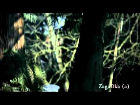 Видео: СКАЗКИ БРАТЬЕВ САЛЬВАТОРЕ | By ZagaDka (a)