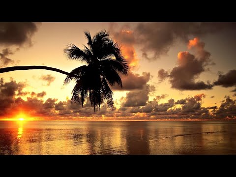 Видео: интересные стихи часть 78