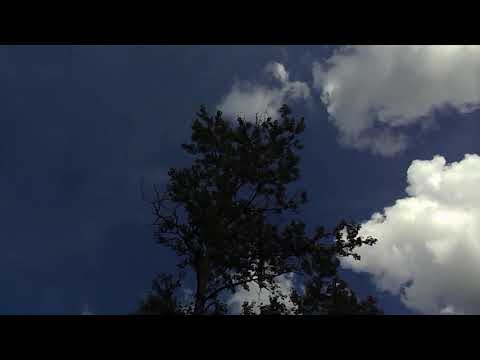 Видео: Московские монахи 47 рег