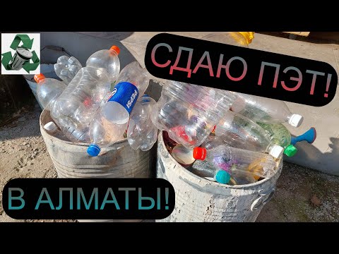 Видео: БОРЬБА С МУСОРОМ В Г АЛМАТЫ! СДАЮ ПЭТ! ПОИСК МЕТАЛЛОЛОМА И ВТОРРЕСУРСОВ!