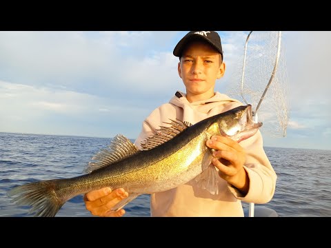 Видео: Рыбалка на Ладоге. Судак | Щука. Отдых на воде.