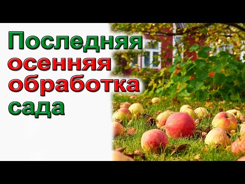 Видео: Секреты успешной обработки сада в октябре: ответы на вопросы