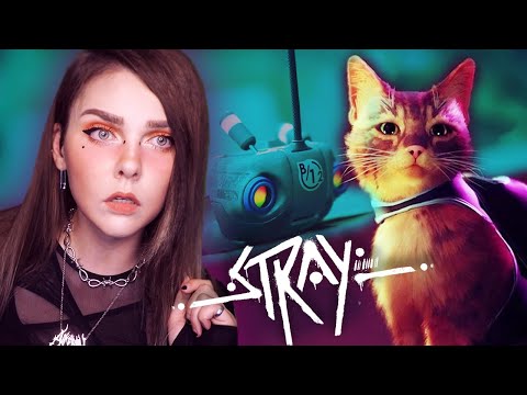 Видео: Котишкин финал│STRAY│ 2022【#2】
