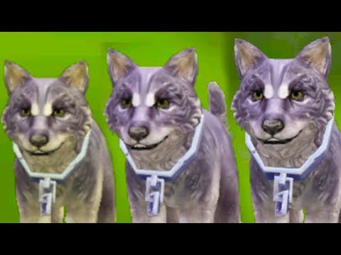 Видео: ЭВОЛЮЦИЯ ВОЛЧОНКА в WILDCRAFT