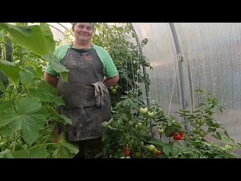 Видео: Что выросло, то выросло...вы только не смейтесь.