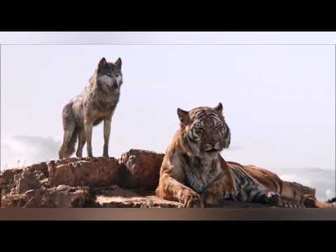 Видео: Comatose (На русском)