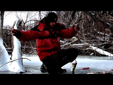 Видео: ПОД ЭТУ КОРЯГУ Я НЕ ЗРЯ ПРОБУРИЛ!!Жор окуня на балансир! Рыбалка на Оби (верхнее течение).