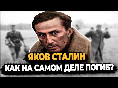 Видео: ЯКОВ СТАЛИН: КАК НА САМОМ ДЕЛЕ ПОГИБ СЫН СТАЛИНА?