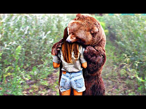 Видео: Попробуй НЕ ЗАПЛАКАТЬ! 😥 Топ 100 Моментов Встречи Животных с Хозяевами После Долгой Разлуки