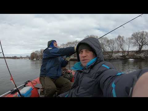 Видео: Ока..Белоомут ..хищник в феврале 2020г