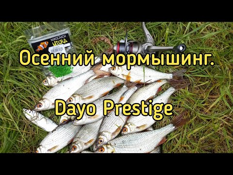 Видео: Осенний мормышинг. Ловля плотвы на мормышку с Dayo Prestige.