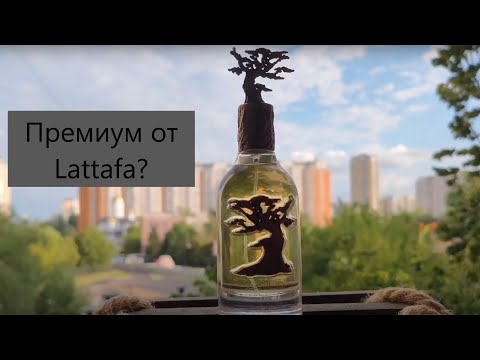 Видео: Арабы! Lattafa Eternal Oud - теплая амбра #электропарфюмер #маркинпарфюмрф