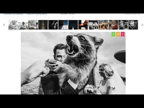 Видео: Как снимают топовые фотографы Mywed. Композиция.