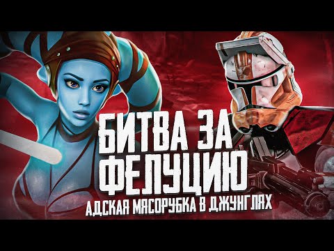 Видео: БИТВА ЗА ФЕЛУЦИЮ - 3-Х ЛЕТНЕЕ ЯДОВИТОЕ МЕСИВО
