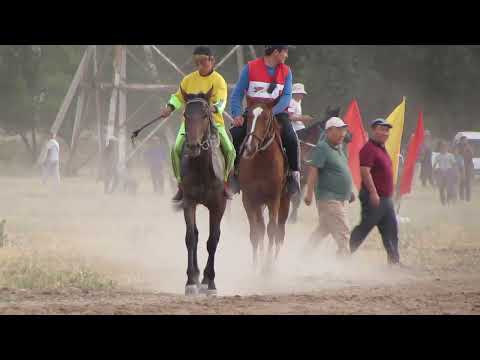 Видео: Ат оюндары / Аламан финиш Токмок 24.06.2022
