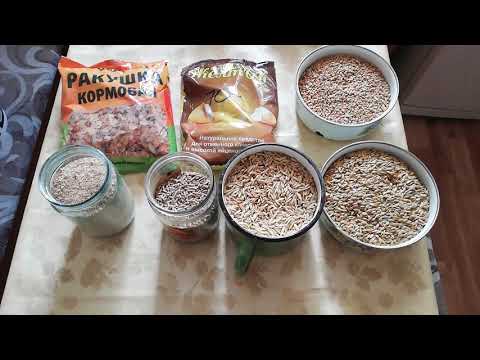 Видео: Комбикорм для кур несушек.