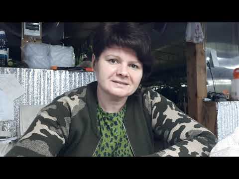 Видео: Сею капусту в вермикулит!