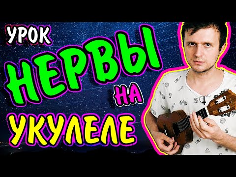 Видео: Как играть на укулеле Нервы - Кофе мой друг | аккорды + разбор