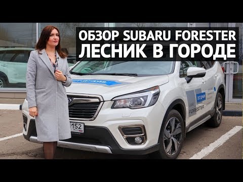 Видео: Обзор Subaru Forester 2019 - "Лесник" в городе