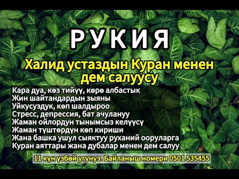 Видео: Кара дуа, көз тийүү, жин шайтандардын зыянынан пайда болгон ооруларга Куран менен дем салуу.
