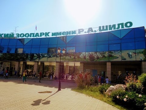 Видео: Мой родной город Новосибирск - Новосибирский зоопарк.
