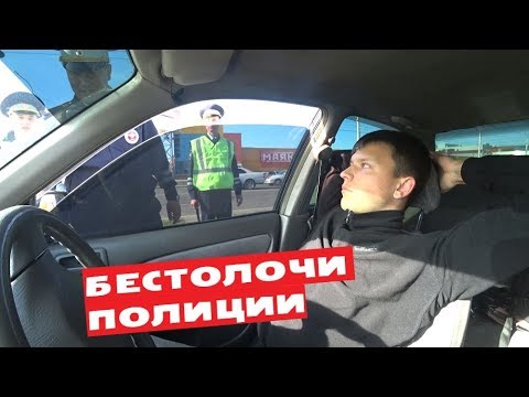 Видео: БЕСТОЛОЧИ ПОЛИЦИИ