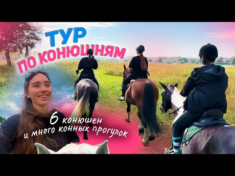 Видео: Конные прогулки и ТУР ПО КОНЮШНЯМ: ищу идеальный постой / 2 часть