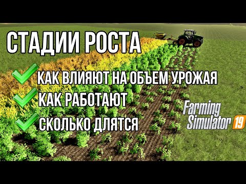 Видео: Стадии роста: как влияют на объем урожая, сколько длятся, как работают | Farming Simulator 19