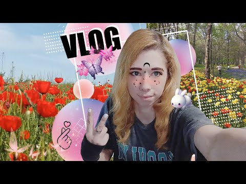 Видео: VLOG Май, маки, облом, путешествие. Поболтаем?