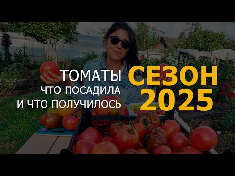 Видео: ТОМАТЫ/ЧТО ПОСАДИЛА И ЧТО ИЗ ЭТОГО ПОЛУЧИЛОСЬ :) #Ленобласть