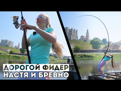 Видео: НЕ бюджетный фидер, Настя и бревно. Краш-тест кто кого?