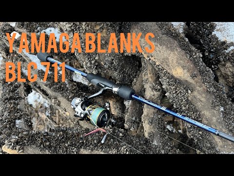 Видео: Ловля на спиннинг Yamaga Blanks Blue Current III 711 на нижней Москва реке